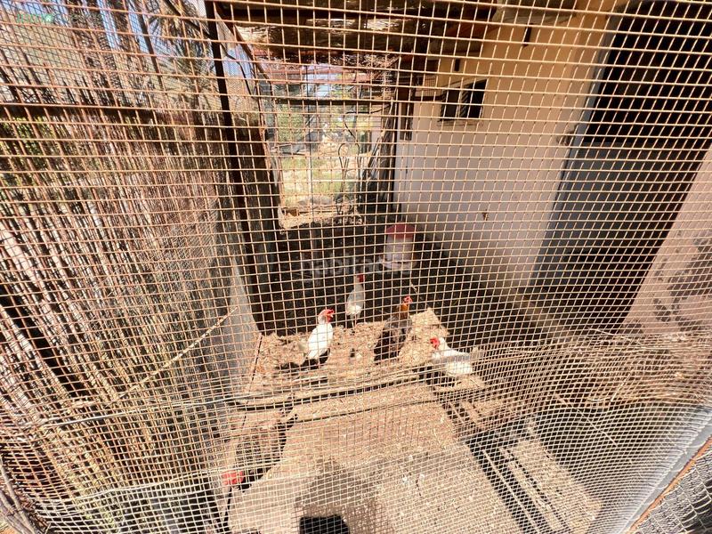 Foto 4794af11-bfdd-40ca-9a6a-80bcc5d6809f. Casale con parcheggio in Cuevas del Almanzora pueblo Cuevas del Almanzora