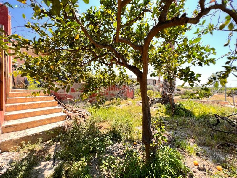 Foto bf16bfce-3c1a-4de6-8bb4-7ea7e3f4d516. Casale con parcheggio in Cuevas del Almanzora pueblo Cuevas del Almanzora