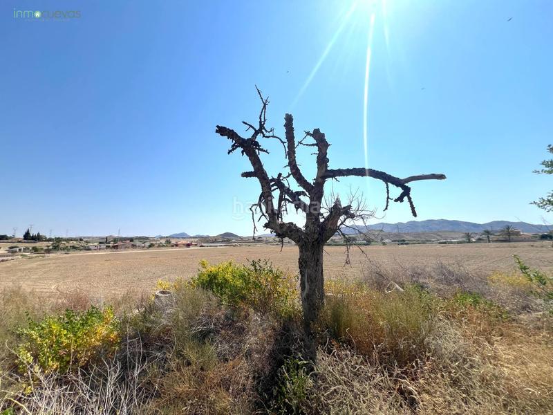 Foto ce2130b3-9f5a-451e-9ca4-4a273793d046. Masía casa con gran terreno en burjulú un proyecto lleno de posibilidades en Cuevas del Almanzora