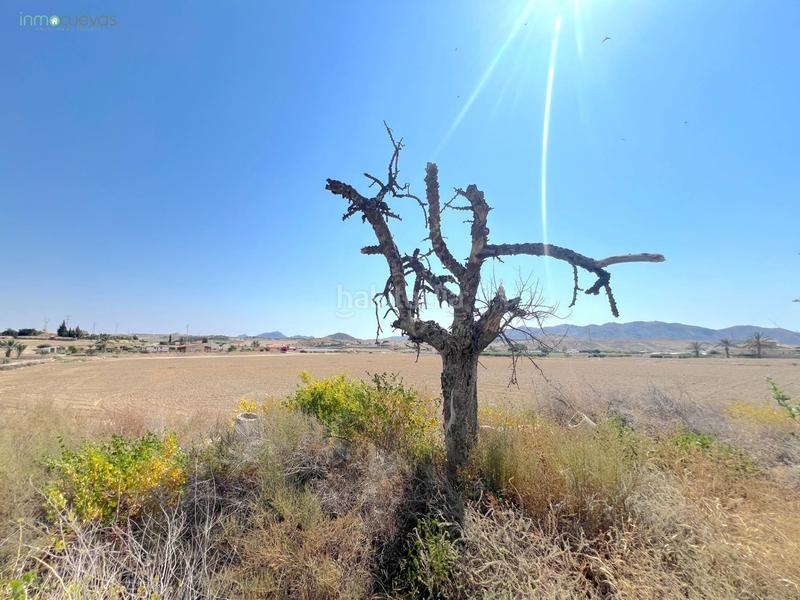 Foto e60d1ca0-b546-430a-a88d-d9c76e65a00f. Masía casa con gran terreno en burjulú un proyecto lleno de posibilidades en Cuevas del Almanzora