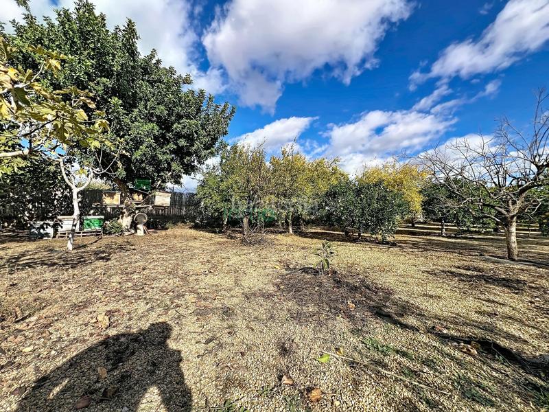 Foto 28dcbb1c-157d-4613-b2b5-dd2b4f918dcf. Masia amb piscina a Cuevas del Almanzora pueblo Cuevas del Almanzora