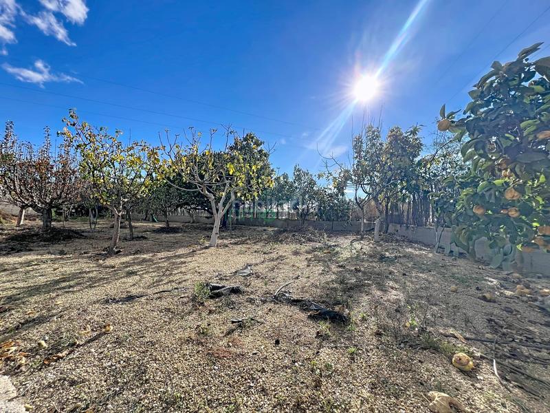 Foto 37413224-86db-4a21-8c8c-b0e835a288b2. Masia amb piscina a Cuevas del Almanzora pueblo Cuevas del Almanzora