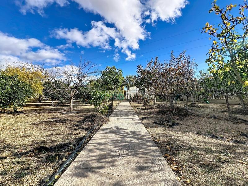 Foto e0d0d91b-a545-4f83-9ec3-5428c839fd9b. Masia amb piscina a Cuevas del Almanzora pueblo Cuevas del Almanzora