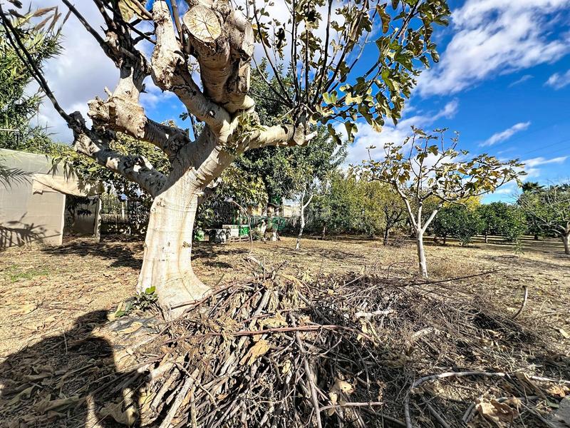 Foto f8921d31-c61f-4435-aa42-a211e12a9f4f. Masia amb piscina a Cuevas del Almanzora pueblo Cuevas del Almanzora