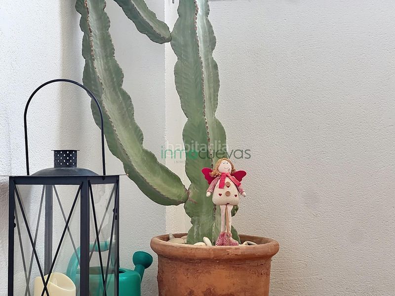 Foto 1fa2ad54-003a-4bdd-b1d3-d6bca4b4c44a. Lloguer àtic amb aparcament a Puerto Rey Vera