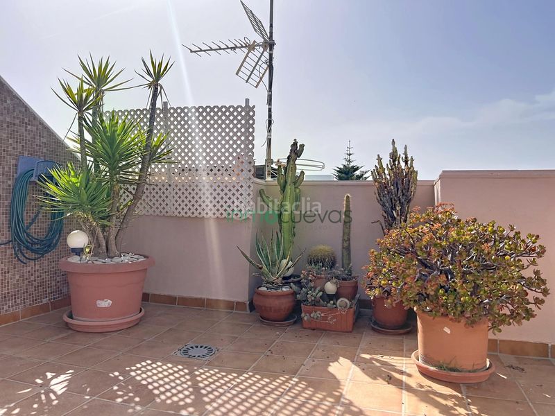 Foto 29173655-8fd9-4717-92f0-86a1fbcacf3f. Lloguer àtic amb aparcament a Puerto Rey Vera