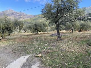 Masia a Alcaucín. Finca rúst. en venta en puente don manuel, 6 dormitorios.