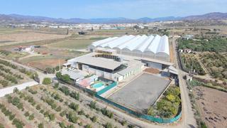 Masia a El Tomillar. Finca rúst. en venta en torre del mar, 4 dormitorios.