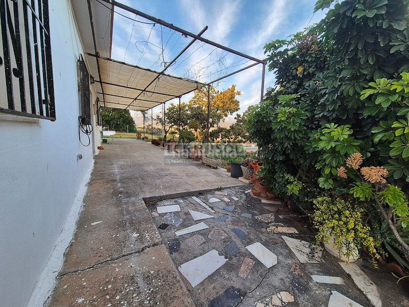 Foto b30bbd1b-f164-498b-82d9-377de46a42e9. Casa amb piscina a Camino Algarrobo - Las Arenas Vélez - Málaga