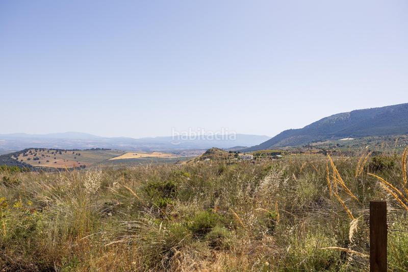 Foto 51623c0a-d936-47c0-9cdf-e2dcceb92ec7. Local comercial cortijo gran capitan en illora en Íllora