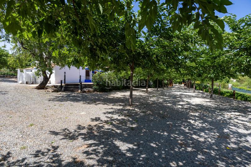 Foto bf2a0a71-ec01-4a65-af57-8389b28d147c. Local comercial cortijo gran capitan en illora en Íllora