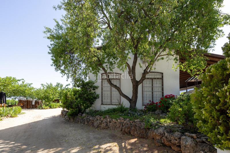 Foto dc694d17-4a56-4e64-a59f-f27d23a2a2cf. Local comercial cortijo gran capitan en illora en Íllora
