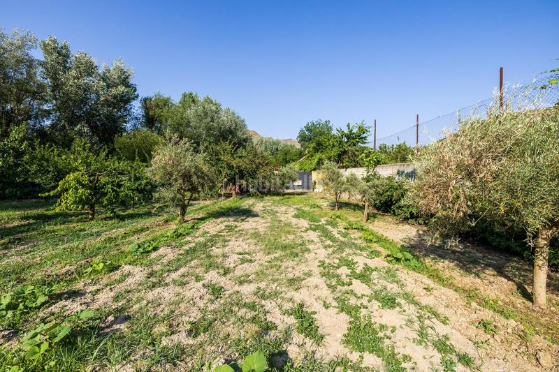 Foto 2a048b1e-8457-4292-becd-383e84cf1a3f. Propriété dans paseo paseo duquesa s/n dans Pinos Genil