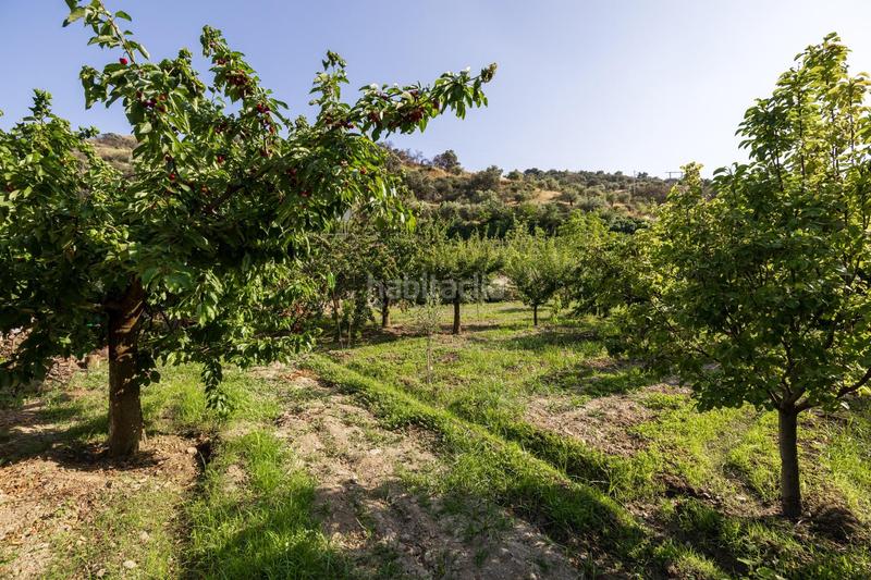 Foto d638b4f9-f0ec-4ffd-a57c-3fa9d6405b12. Propriété dans paseo paseo duquesa s/n dans Pinos Genil