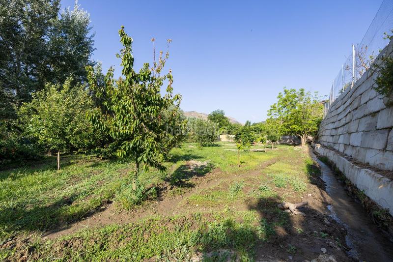 Foto f7fbb368-6412-4ea7-8695-fa0747d4b297. Propriété dans paseo paseo duquesa s/n dans Pinos Genil