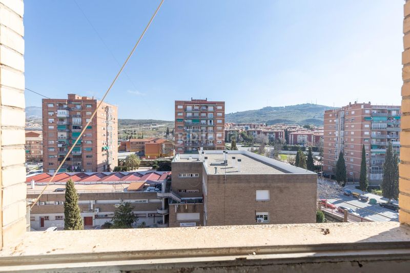 Foto 4abd9355-a1f9-4adb-88d0-52bde7cfb860. Pis a Cartuja Granada