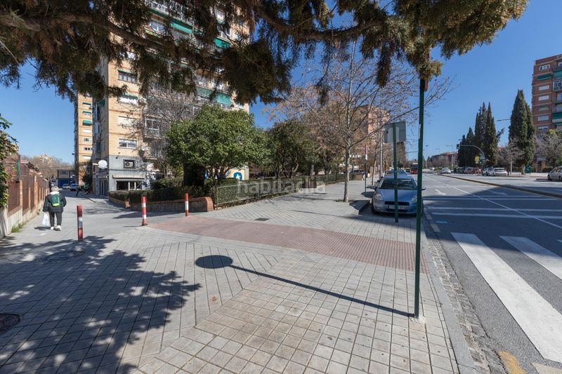 Foto 4b9ea6c0-e4bb-4bb1-9df2-c08ab133cef0. Pis a Cartuja Granada