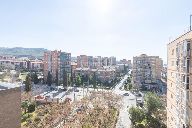 Foto b3745e4a-60e8-4064-a83b-5f82f4b33e1a. Pis a Cartuja Granada