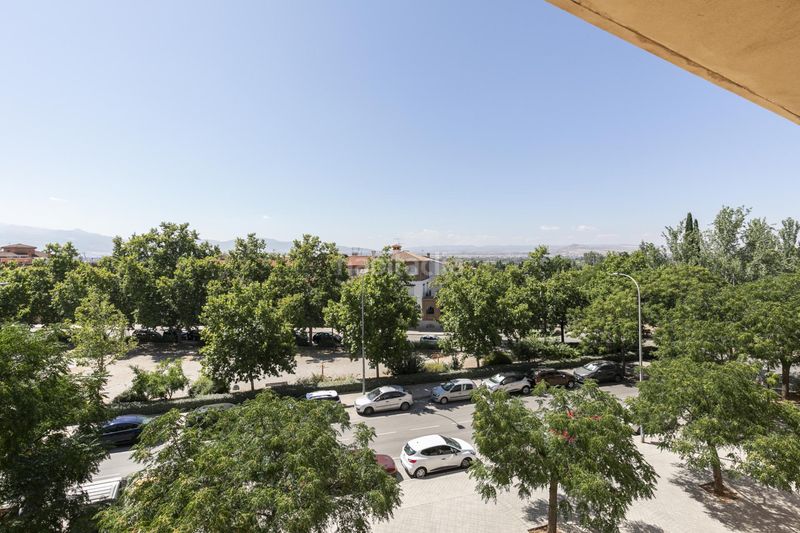 Foto 09558d8d-1cee-4bca-8370-469ba649b1e8. Apartament amb aparcament piscina a Rosaleda - Juventud Granada
