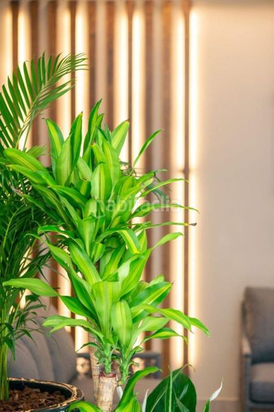 Foto e00bafd4-f22a-4162-b811-b0bf0f2695e6. Apartament amb calefacció a Las Brisas Marbella