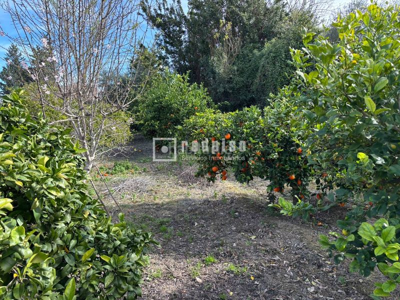 Foto 0a46919a-1eb7-4067-9a73-b8c4bc21acbb. Terreny residencial a Los Dolores Murcia