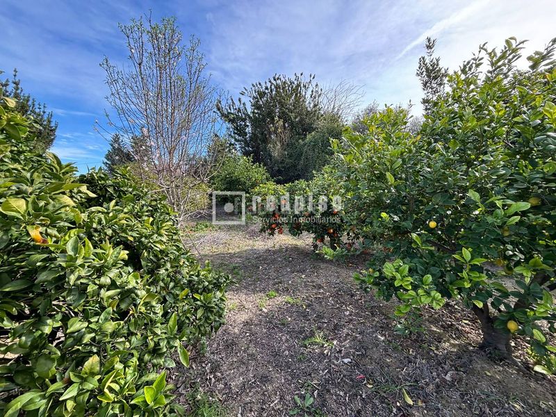 Foto 2b9b6884-ba56-4a20-b66d-49c3bc8e1788. Terreny residencial a Los Dolores Murcia