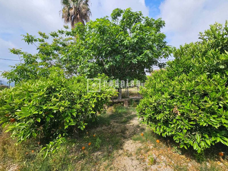 Foto dd04ddb3-84b0-49d7-b412-0c1dd06dcc90. Terreny residencial a Los Dolores Murcia