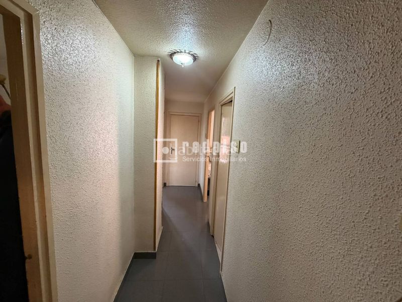 Foto d08d5e55-7cbf-4ae5-aa0f-a76ce8a90360. Pis a La Paz Murcia