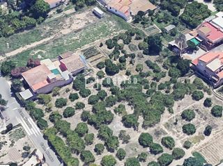 Residential Plot in Albatalia