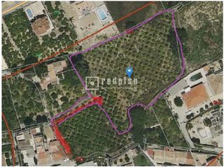 Terreny residencial a La Arboleja