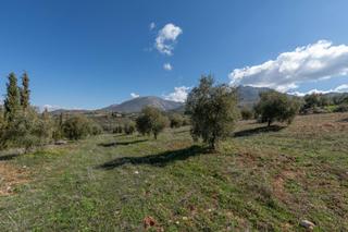 Finca rústica a Cogollos de la Vega. Terreno rústico en cogollos vega, con toma de luz y agua en la e