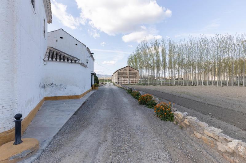Foto 5f554ea0-cbb7-43d7-a129-72c2cbbbf96b. Masía en diseminada oprtunidad para crear tu propio espacio en Pinos Puente