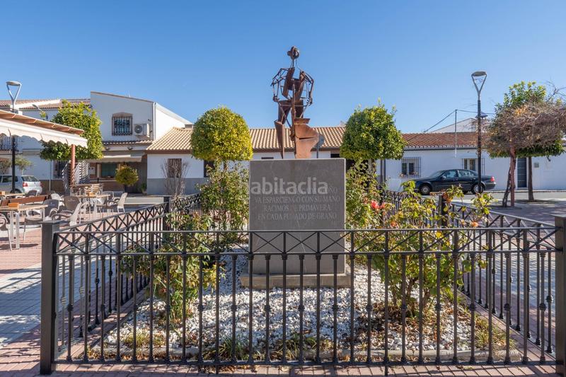 Foto 18a86c5e-2cf9-4a30-a912-308bfacd650a. Masía en calle gardenia (chaparral) 4 vivienda con múltiples opciones en Albolote