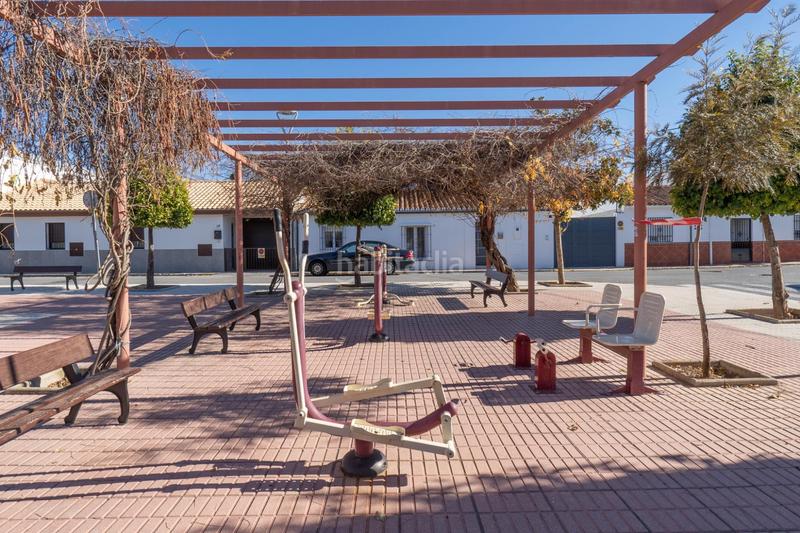 Foto 324176e0-8064-474c-b5c7-202be2944f58. Masía en calle gardenia (chaparral) 4 vivienda con múltiples opciones en Albolote