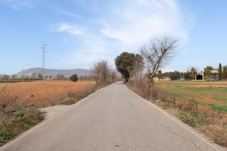 Rural plot  Polígono 23 parcela 63 la zanja. albolote (granad 23. Finca rústica de regadío en albolote