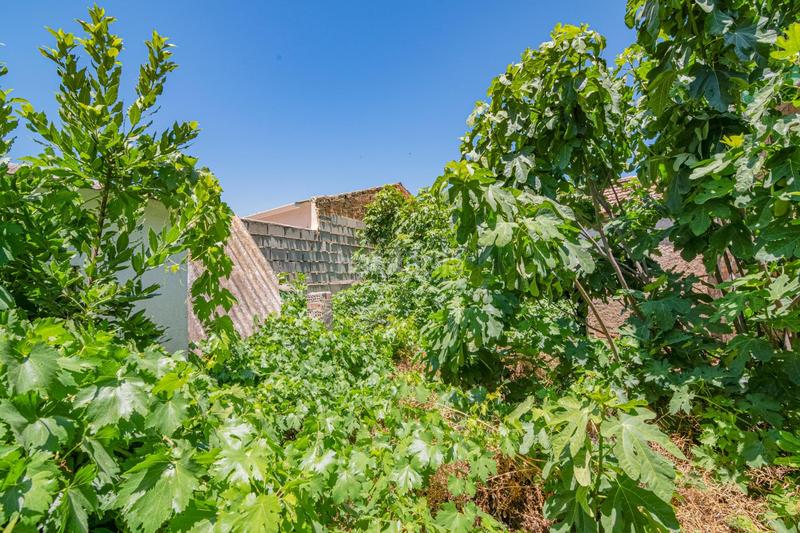 Foto 91f1fde6-0f7b-44e7-9b55-b94d695acc58. Maison jumelée dans lopez de los rios 19 dans Cijuela