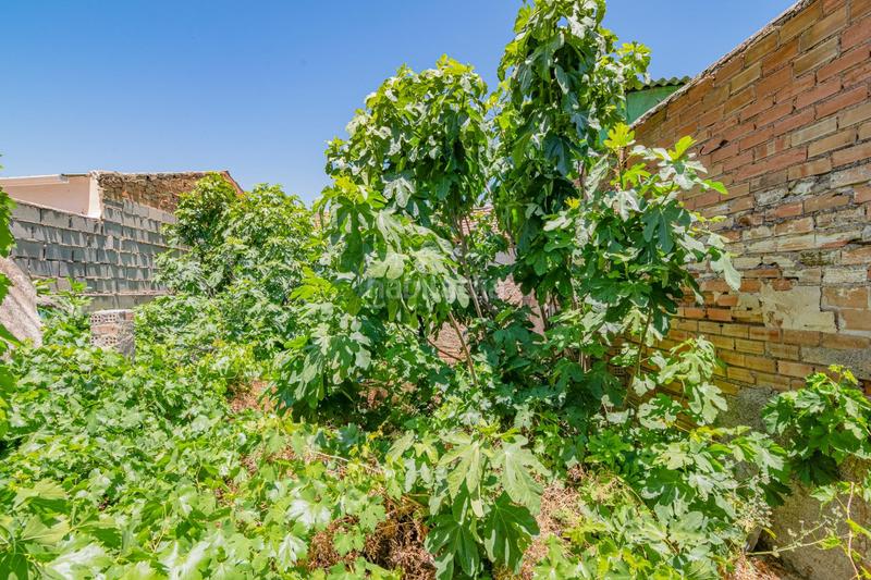 Foto b9b9330d-d0e8-4856-953c-7b8ce21917ac. Maison jumelée dans lopez de los rios 19 dans Cijuela