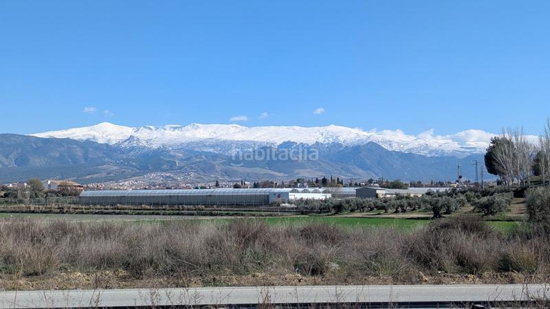 Foto 0bfee2f5-1613-49fb-806e-cdfe5fcdcb3c. Terrain résidentiel dans calle de los alayos 14 dans Gabias (Las)