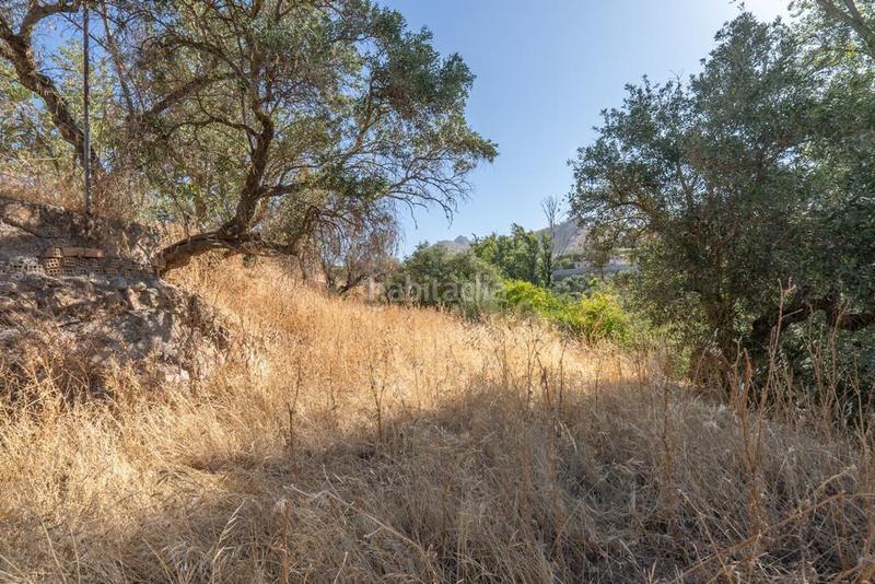 Foto 34af585a-cffe-414e-9945-b56dbc902155. Mas dans camino poligono 7 paraje 143 huerta vieja 408 dans Cogollos de la Vega