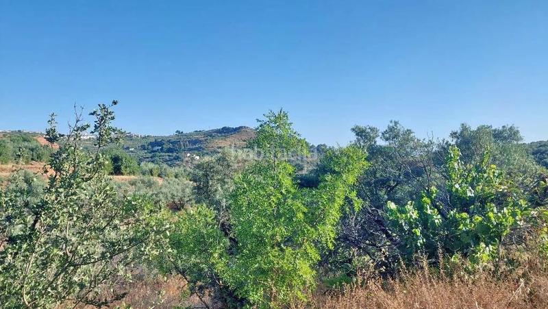 Foto 3aa30676-4328-4cbe-affc-be1987684a4b. Mas dans camino poligono 7 paraje 143 huerta vieja 408 dans Cogollos de la Vega