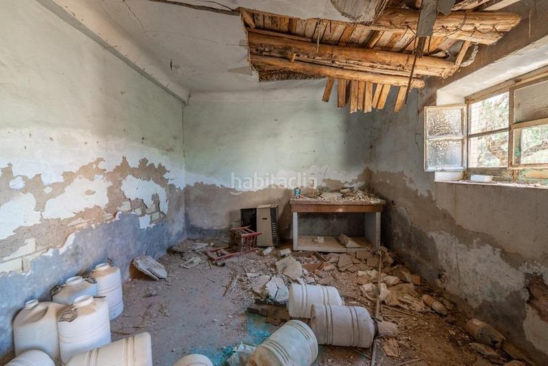 Foto 633bab8b-fbb9-41c7-8b72-041a5e73c03d. Mas dans camino poligono 7 paraje 143 huerta vieja 408 dans Cogollos de la Vega