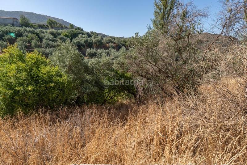 Foto aae40cf5-e4e0-46b7-afbe-95f58e4c94e7. Mas dans camino poligono 7 paraje 143 huerta vieja 408 dans Cogollos de la Vega