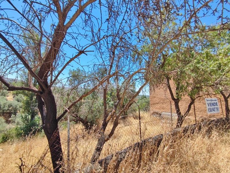 Foto cc62d535-d70c-4568-ad40-b20d1b612f1e. Mas dans camino poligono 7 paraje 143 huerta vieja 408 dans Cogollos de la Vega