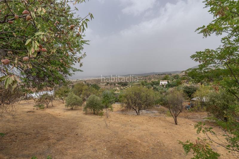 Foto b3204d3f-13c5-43ab-a002-c1b20e0b22e4. Xalet a camino de la barrera (far) 58 a Fargue Granada