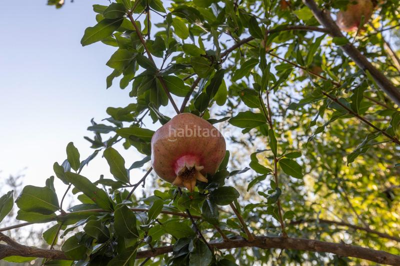 Foto b69fd897-76a8-45fa-b2d3-721bf3b6c282. House with heating parking pool in Alfacar