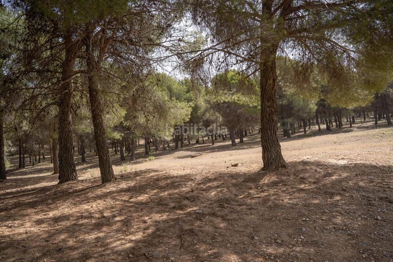 Foto 5c68c3b8-3f1c-401d-bbbb-86b8a53f94f8. Chalet with heating parking pool in Cumbres Verdes Zubia (La)