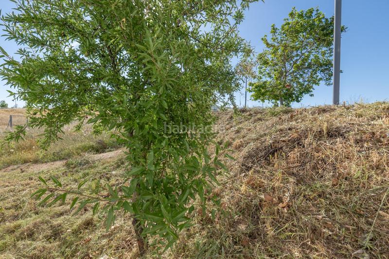 Foto b05e9c07-4282-4f3f-80e9-57cdf1b655b5. Terrain résidentiel dans Gójar
