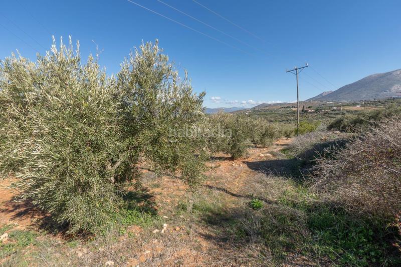 Foto c37f1527-50ed-4374-bd06-c200cb234564. Rural plot in Cogollos de la Vega