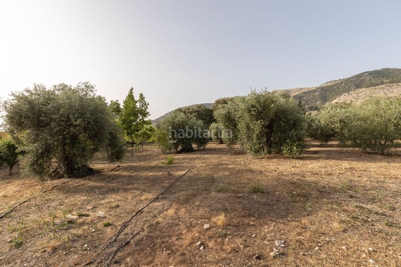 Foto 74f4843c-4095-4f62-bc18-b578bb8c4cf0. Casa amb aparcament piscina a Víznar