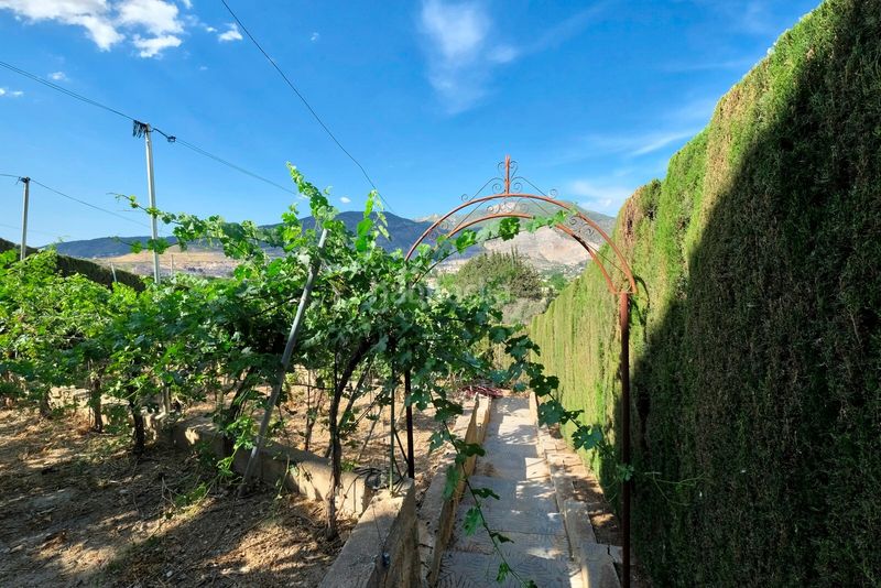 Foto 3de38561-f60f-49ab-bc12-bfc17f72c9b4. Masia a camino viejo de motril a Padul